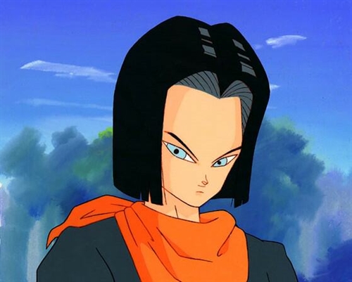 Android 17 - 2